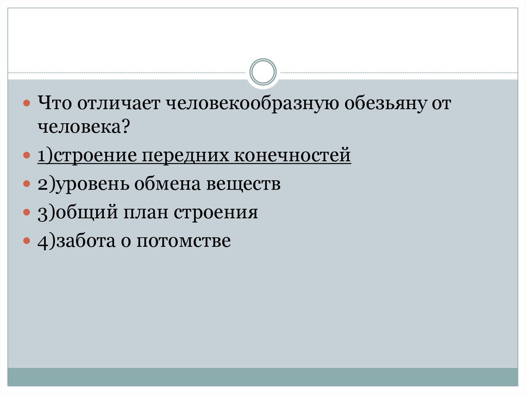 Человекообразную обезьяну отличает от человека общий план строения