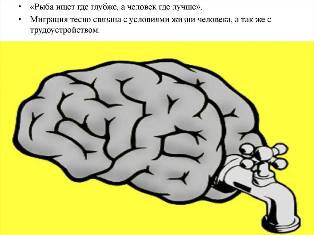 Человек ищет где лучше. Рыба ищет где глубже а человек где. Рыба ищет где глубже а человек где лучше картинки. Рыба где глубже а человек где лучше.