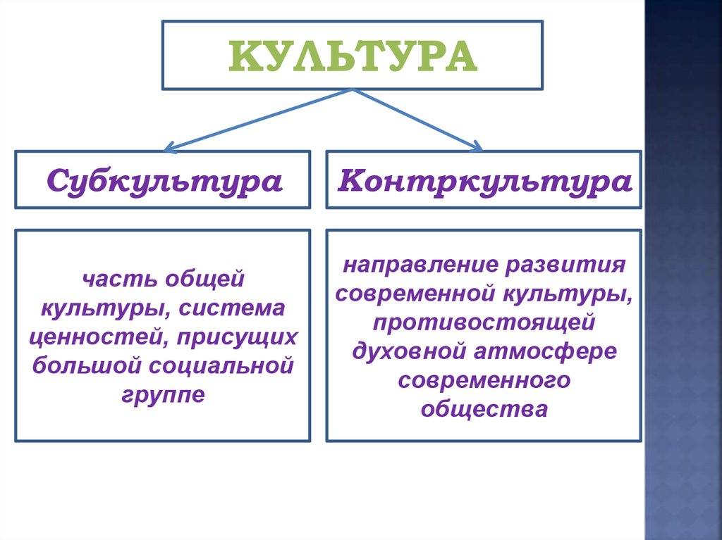 Духовная жизнь общества