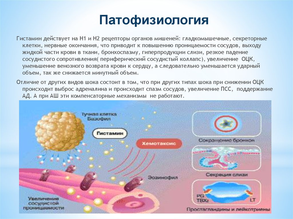 Анафилактический шок презентация патофизиология