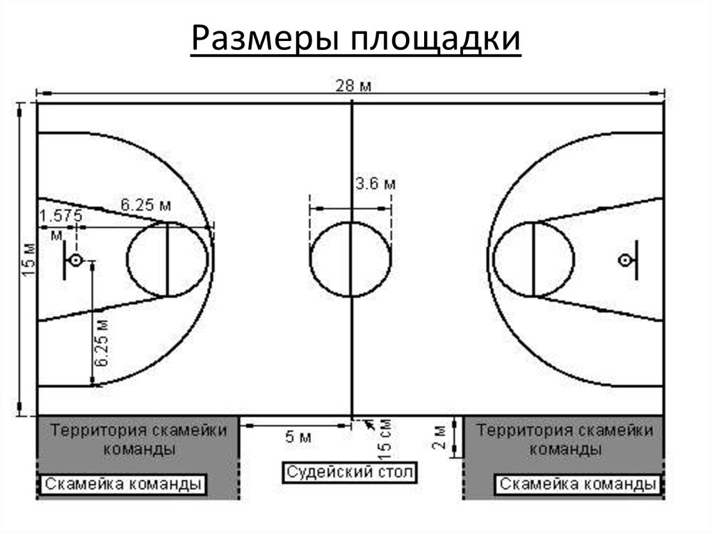 Центральный круг в баскетболе. Размер баскетбольной площадки стандарт. Размер площадки для баскетбола стандарт. Баскетбольная площадка с размерами и линиями. Разметка баскетбольной площадки с размерами.