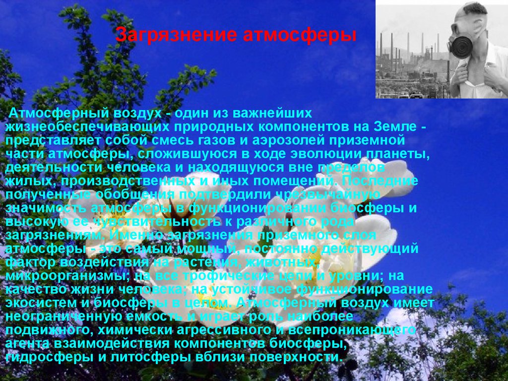 Атмосферный воздух один из важнейших жизнеобеспечивающих. Презентация на тему атмосферный воздух. Что представляет собой атмосферный воздух. Загрязнение биосферы.