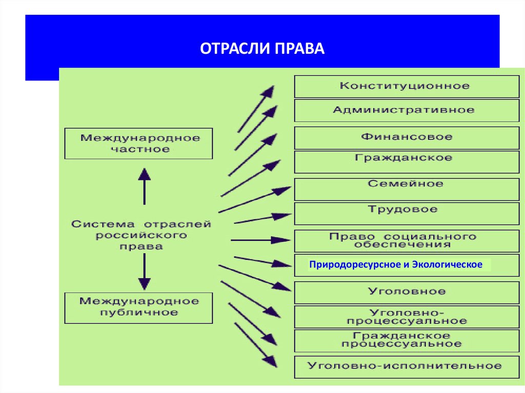 Отрасли государства. Отрасль права понятие и основные отрасль права. Право РФ отрасли права. Отрасли права схема. Отрасли права таблица.