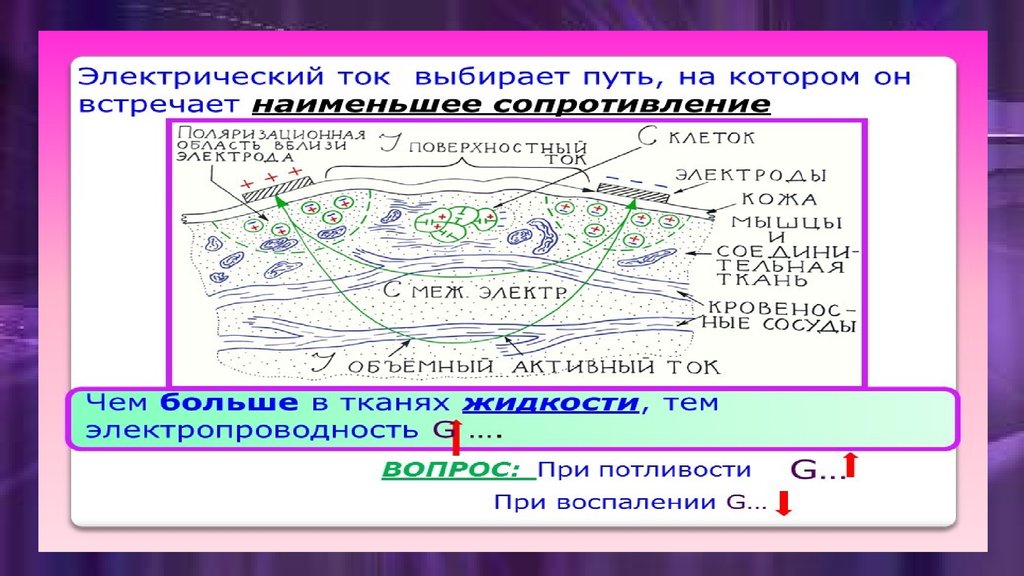 Механические свойства биологических тканей. Электропроводимость биологических тканей. Электропроводность биологических тканей для постоянного тока.