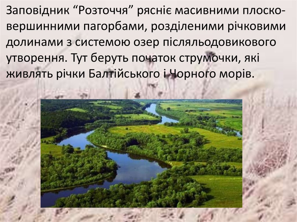 Міні проект заповідні території україни