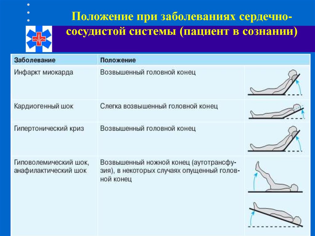 Укажите какие положения