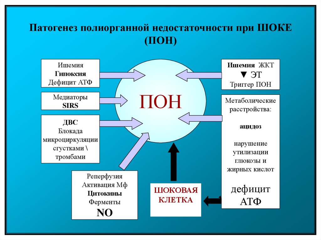 Патогенез септического шока схема