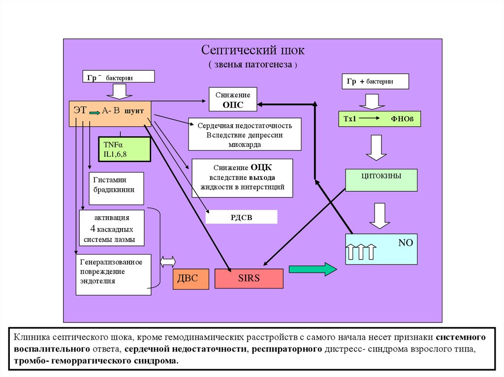 Патогенез септического шока схема