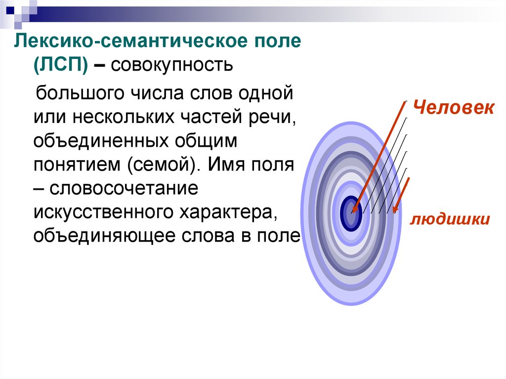 Большая совокупность