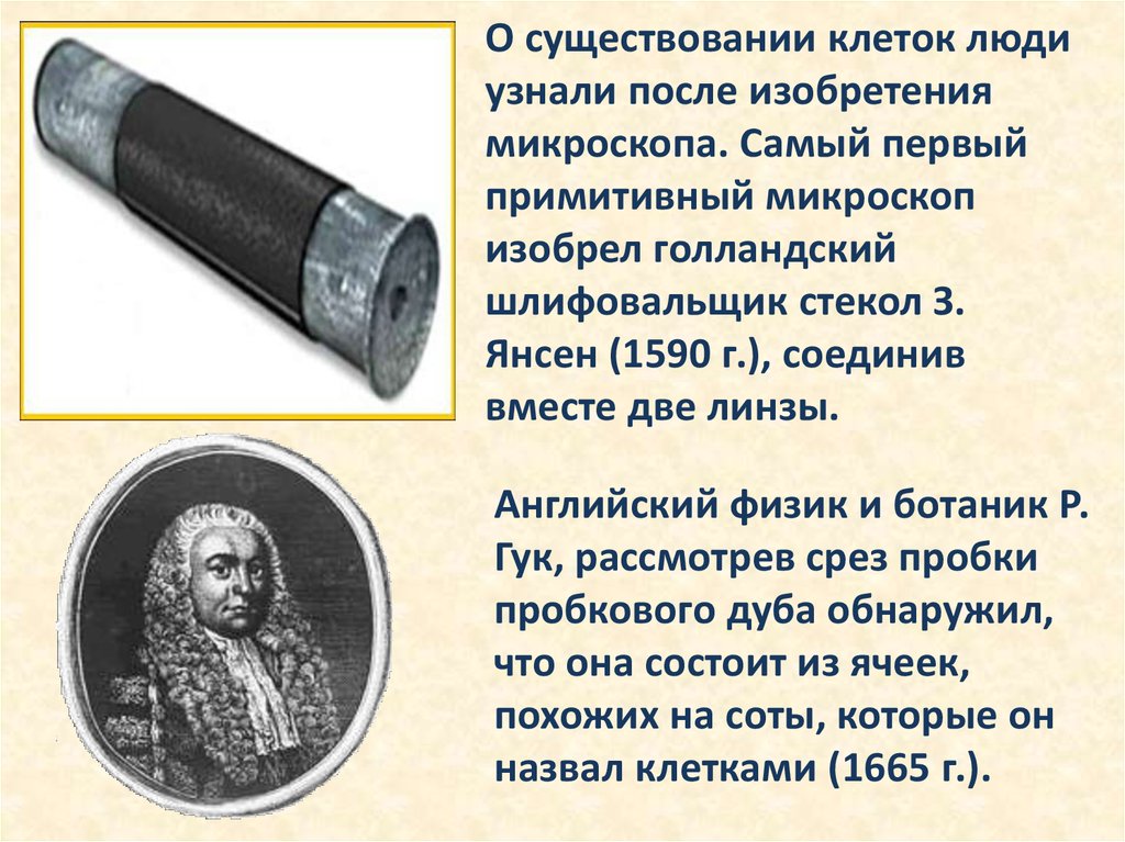 Кто первым описал процесс создания изображения в микроскопе