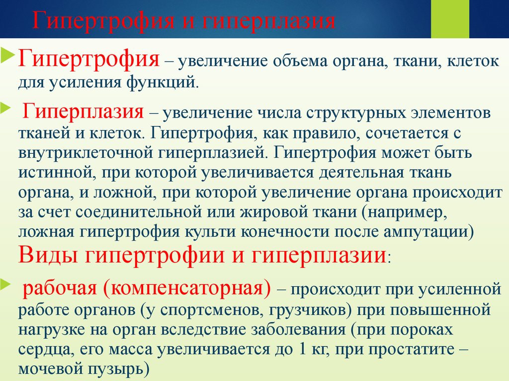 Усиление функции. Гиперплазия и гипертрофи. Гипертрофия и гипоплазия. Гипертрофия это в патологии.