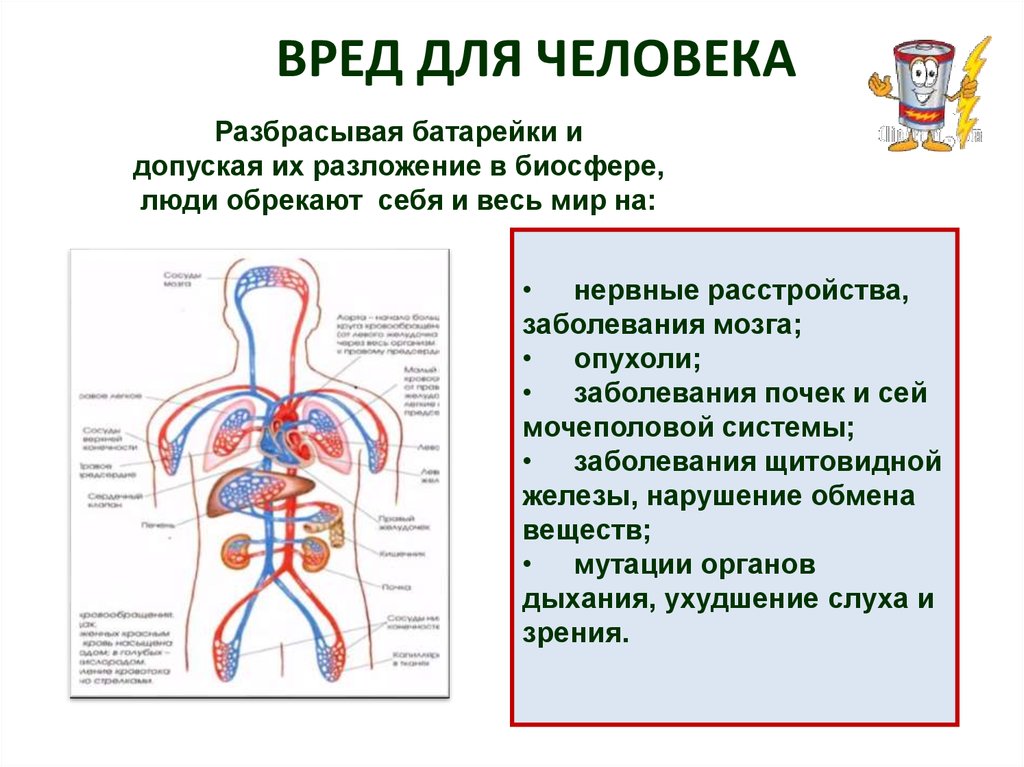 Вред для человека. Вред батареек для здоровья человека. Вред батареек для человека. Вред человеку от батарейки. Вред человеку.