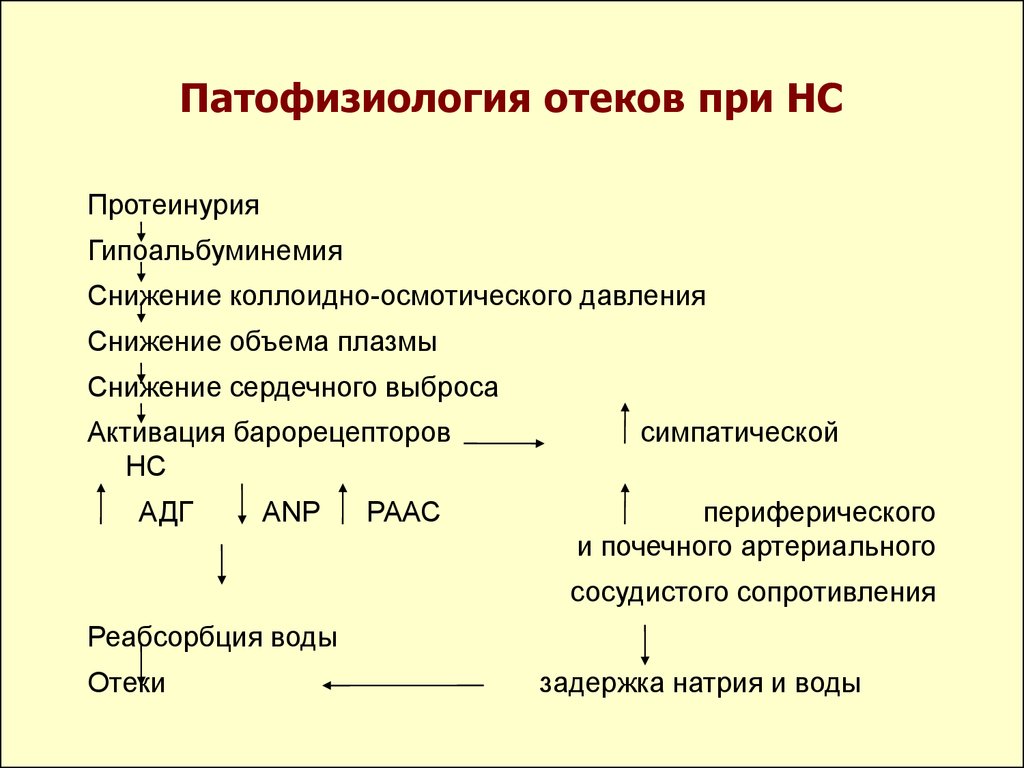 Презентация нефротический и нефритический синдром