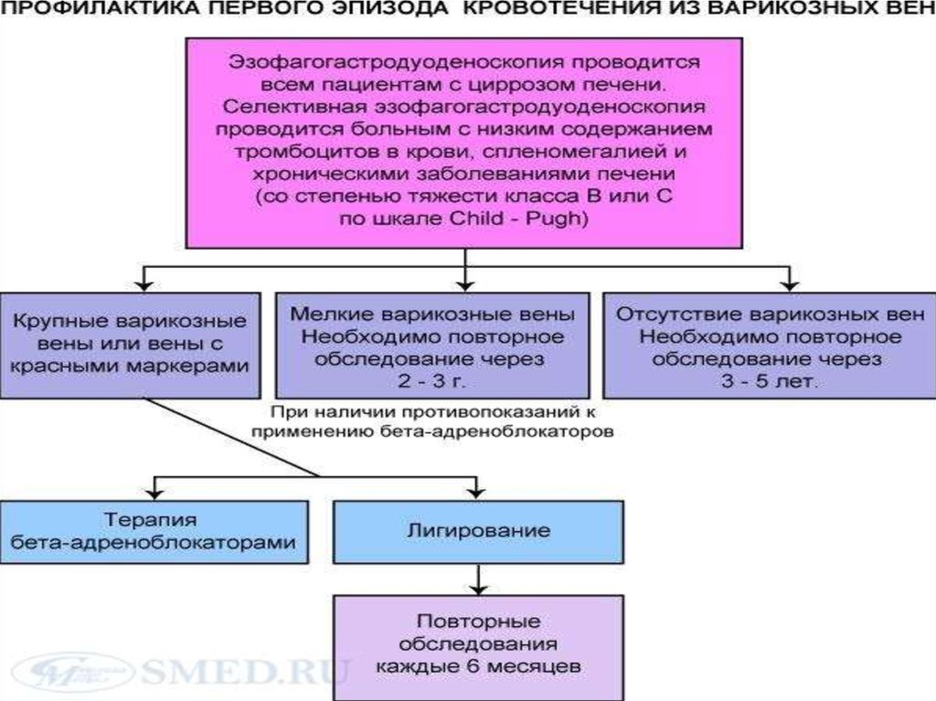 Первичная профилактика кровотечений из варикозных вен пищевода.