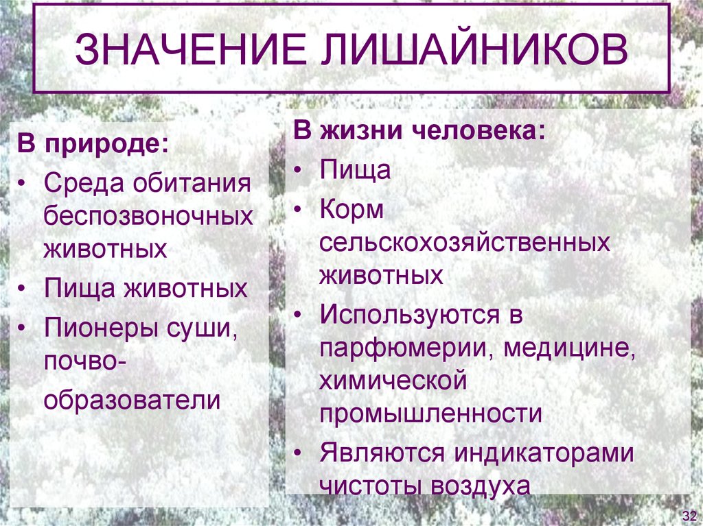 Схема роль лишайников в природе и жизни человека