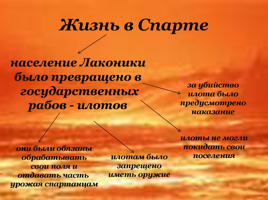 Образ жизни спартанцев. Жизнь в Спарте. Жизнь в древней Спарте. Древняя Спарта образ жизни. Жизнь в древней Спарте доклад.