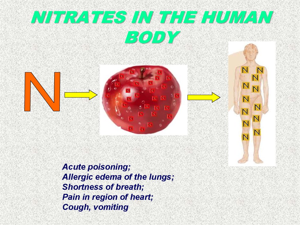 Ничего в организме человека не. Влияние нитратов на человека. Отравление нитратами и нитритами. Влияние нитратов на организм человека картинки. Влияние нитритов на организм.