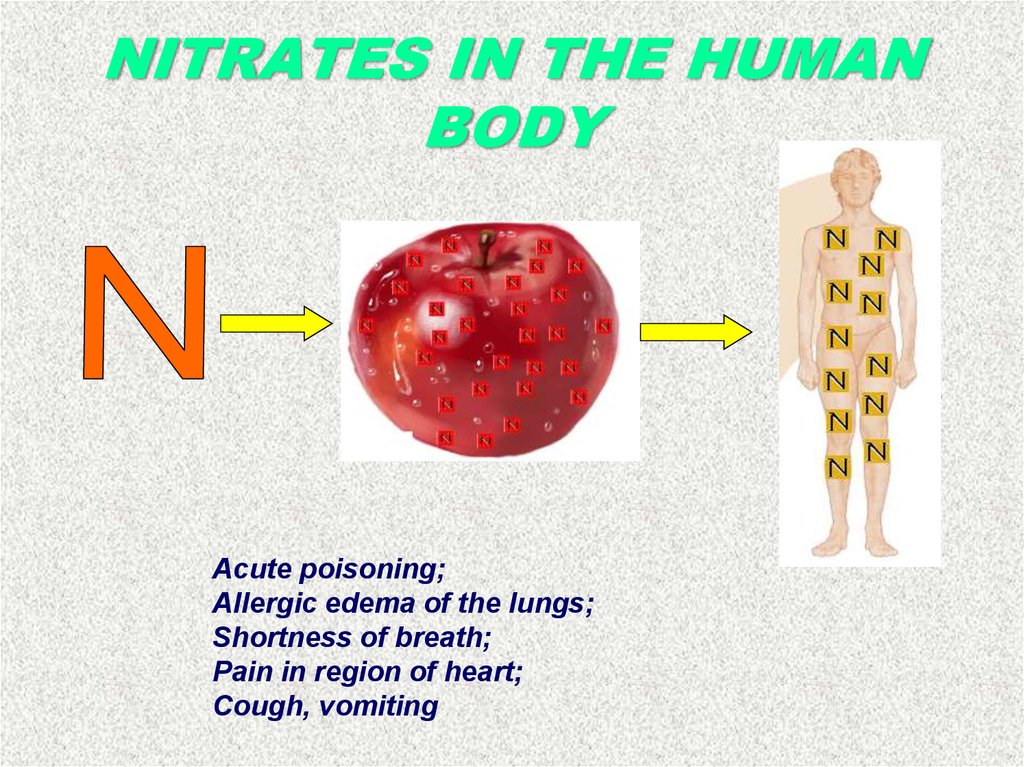 Нитриты действие на организм. Отравление нитратами. Влияние нитратов на организм человека. Отравление нитритатми. Отравление нитратами и нитритами.