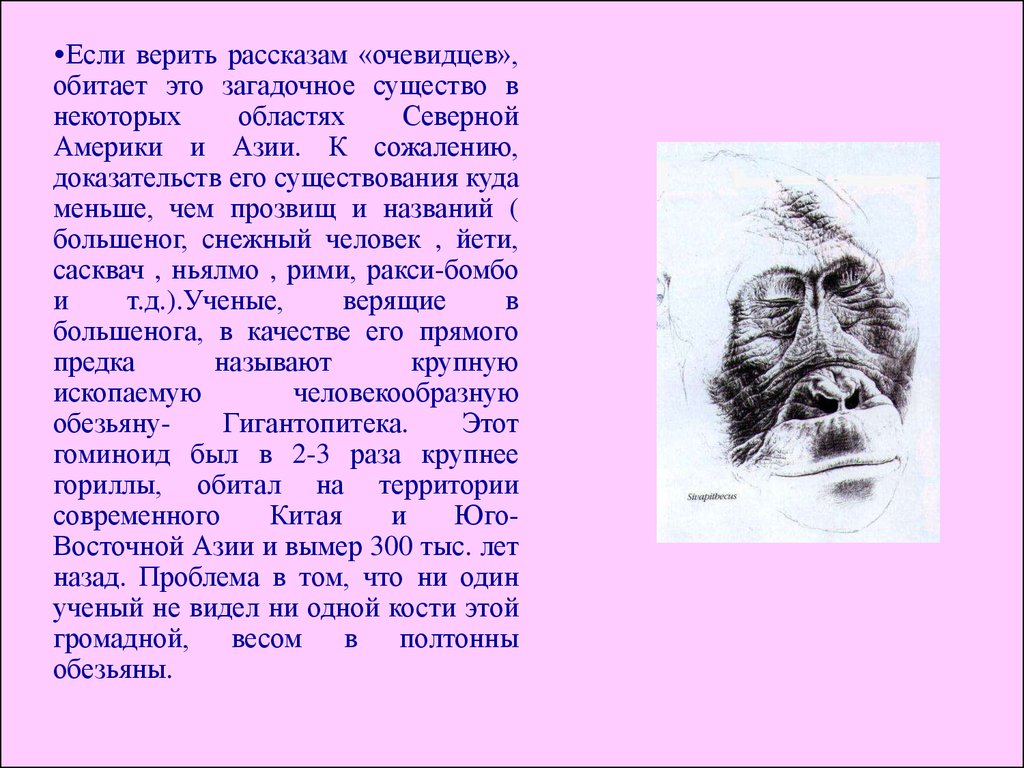 Ученый видит. Снежный человек на английском рассказ. Рассказы про снежного человека. Короткий рассказ - снежные люди.