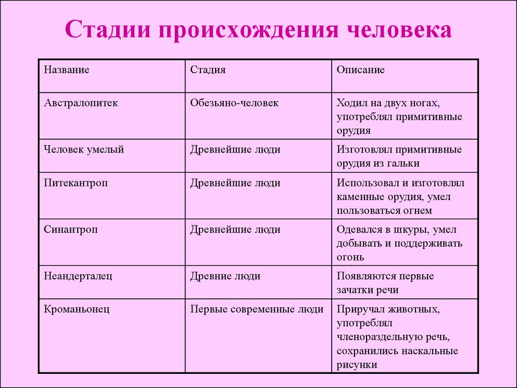 Составить схему основные этапы эволюции человека от дриопитека до человека разумного