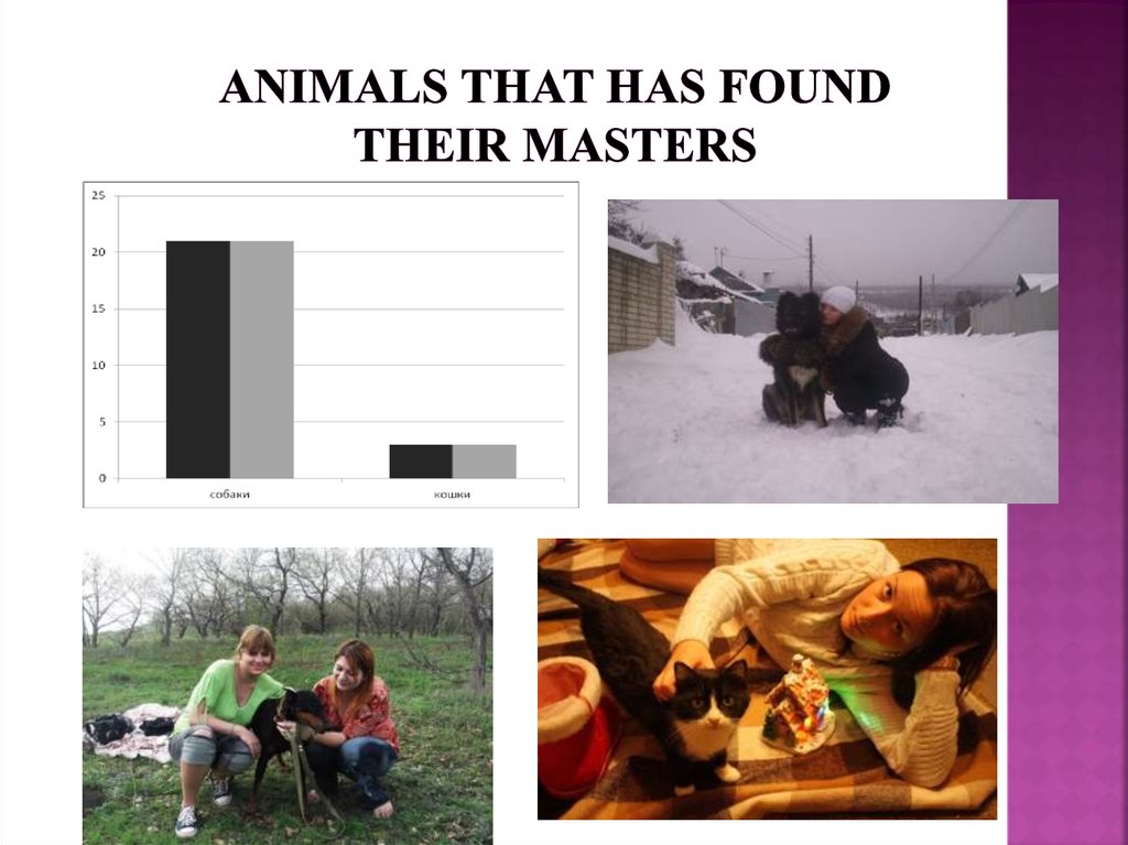 Animals that has found their masters