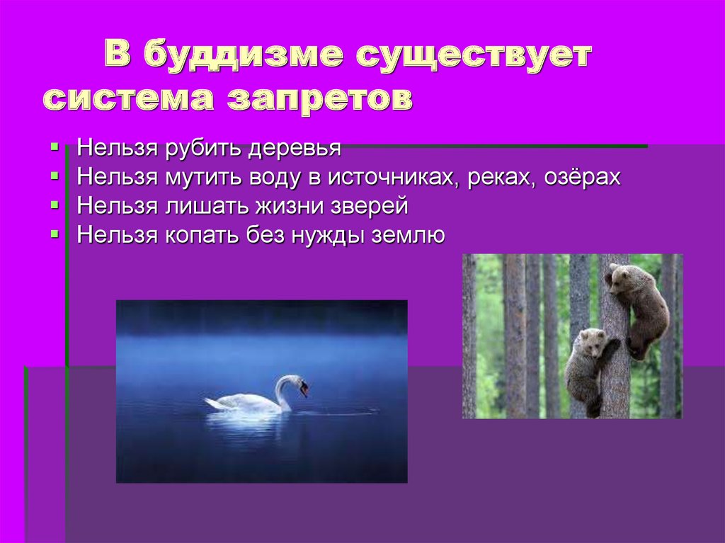 Существует система. Буддизм отношение к природе. Буддисты отношение к природе. Отношение к природе в буддизме презентация. Бережное отношение к природе презентация.