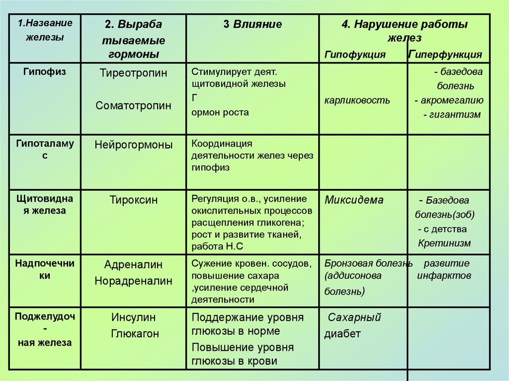 Таблица по биологии 8 класс гормоны желез