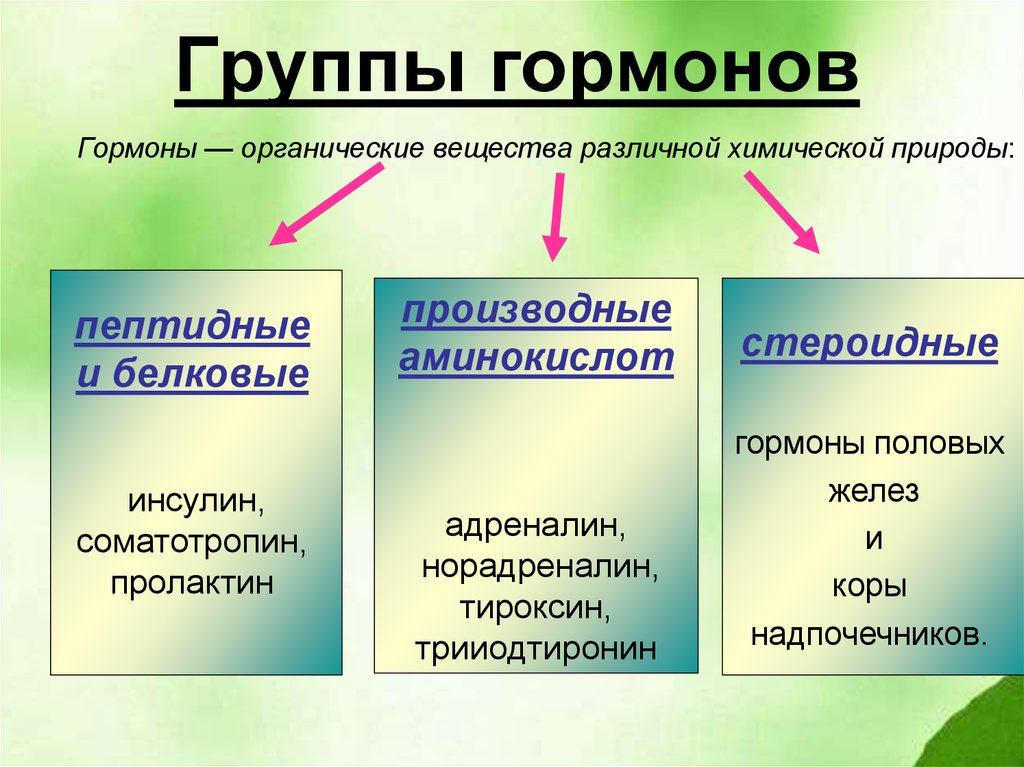 Проект гормоны и их функции