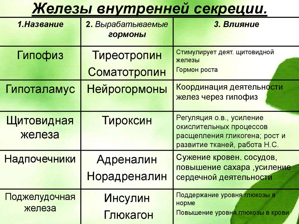 Железы внутренней секреции таблица 8 класс биология