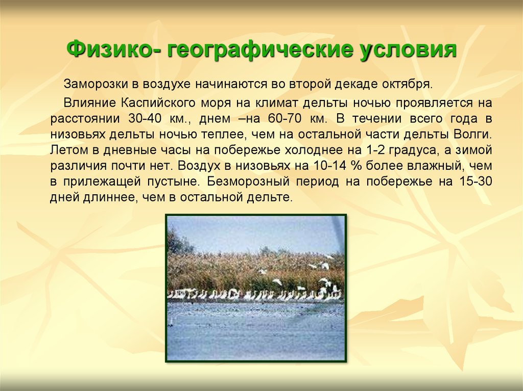 Астраханский заповедник особенности. Астраханский заповедник природная зона. Физико-географические условия это. Климат Астраханского заповедника. Физико географические умлови.