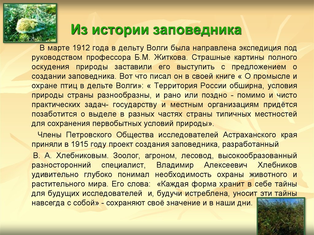 История заповедников. Астраханский заповедник презентация. Рассказ о заповеднике. Заповедники презентация. Краткий рассказ о заповеднике.