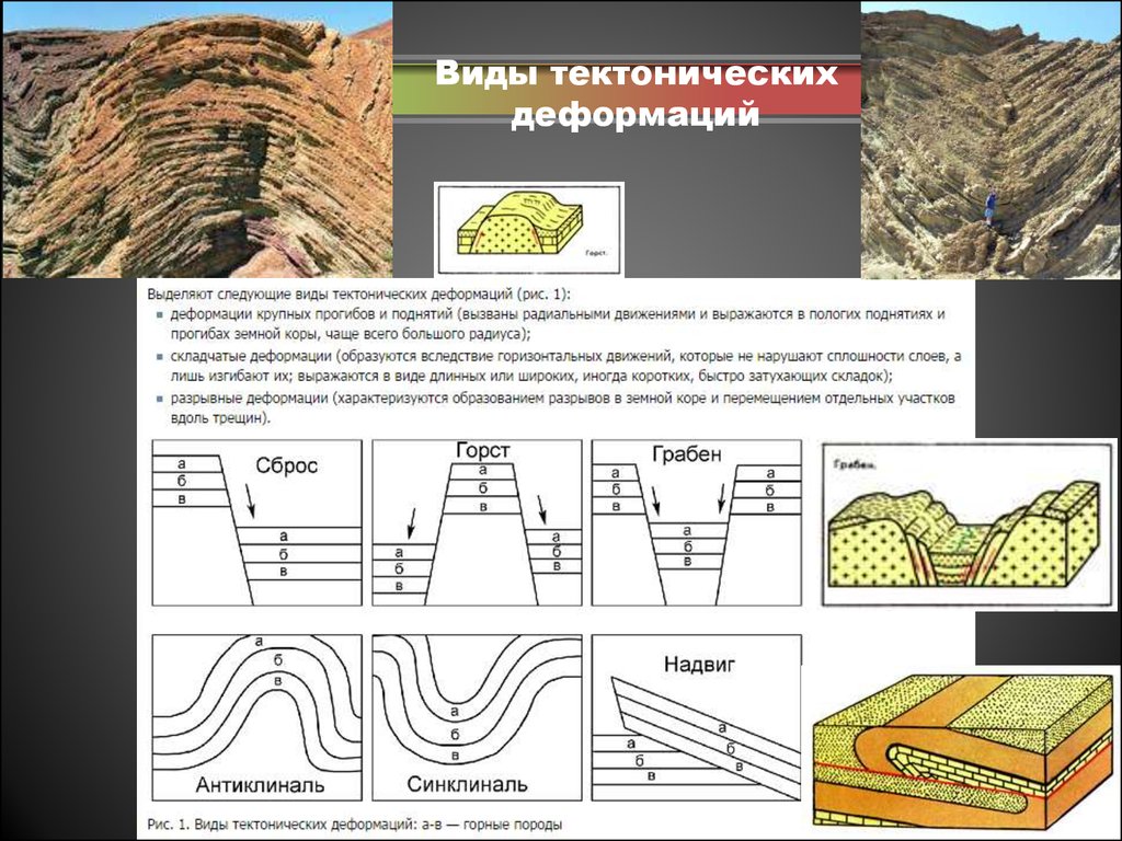 Геологические процессы горных пород. Тектоническая разрывная деформация Горст. Зоны деформации горных пород. Складчатые и разрывные тектонические нарушения. Складчатые нарушения залегания горных пород.