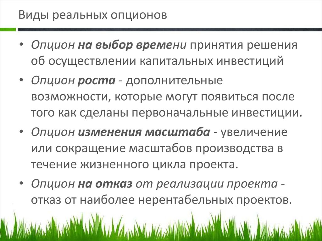 Метод реальных опционов в оценке инвестиционных проектов