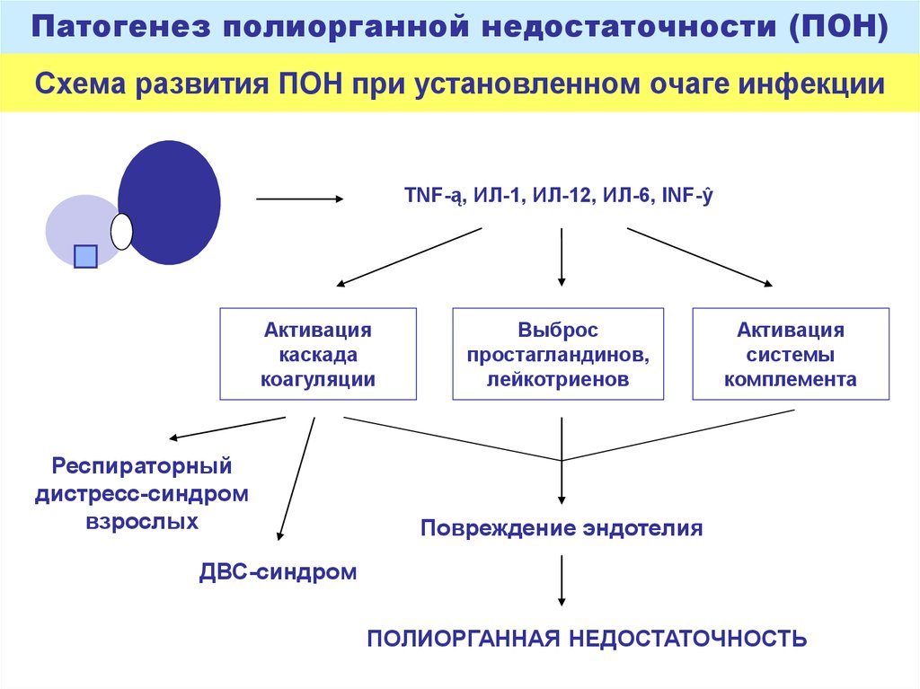 Полиорганная недостаточность патофизиология презентация