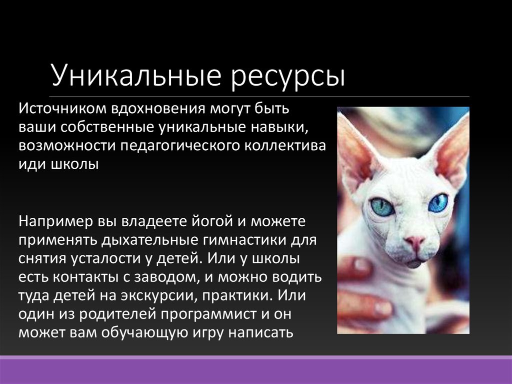 Уникальные ресурсы. Гипотеза шпаргалка. Формулирую гипотезу про котов.