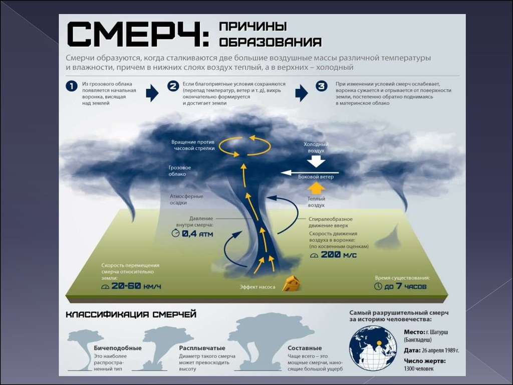 Metamorphosis The Case for Intelligent Design in a Nutshell Chrysalis