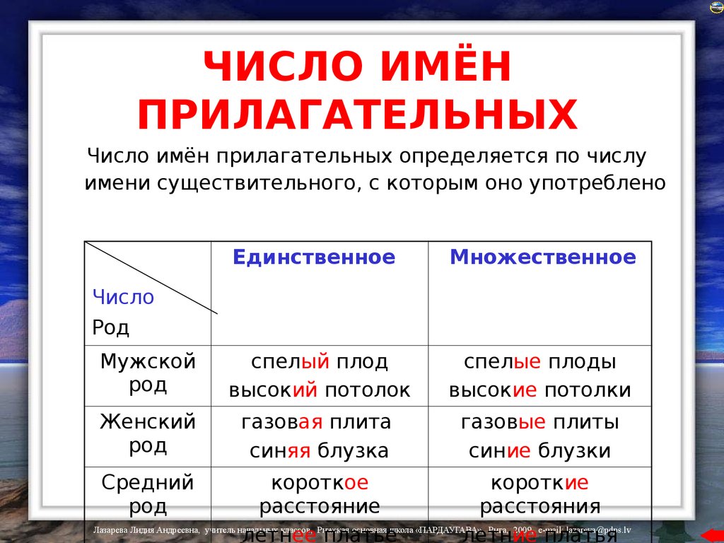 Укажите правила. Как определить род и число имен прилагательных. Как определить число прилагательного. Как определить род и число прилагательного 3 класс. Число имени прилагательного.