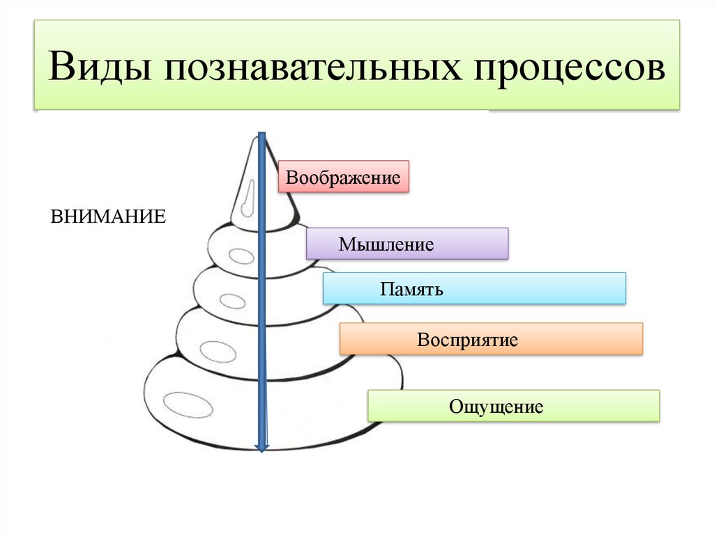 Ощущение восприятие мышление. Понятие познавательных процессов. Виды когнитивных процессов. Познавательные процеесс. Познаватель процессы.