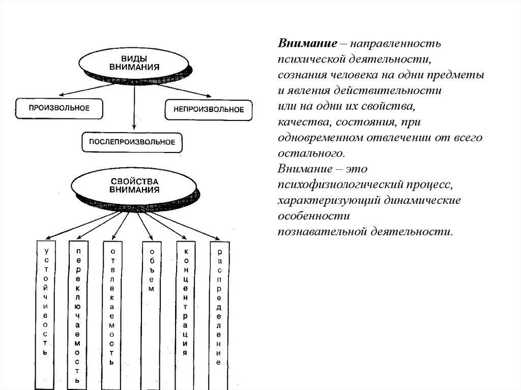 Все психические процессы включены в сознание. Направленность психической деятельности. Роль внимания в психической деятельности. Схема зон сознания. Роль внимания в деятельности человека.