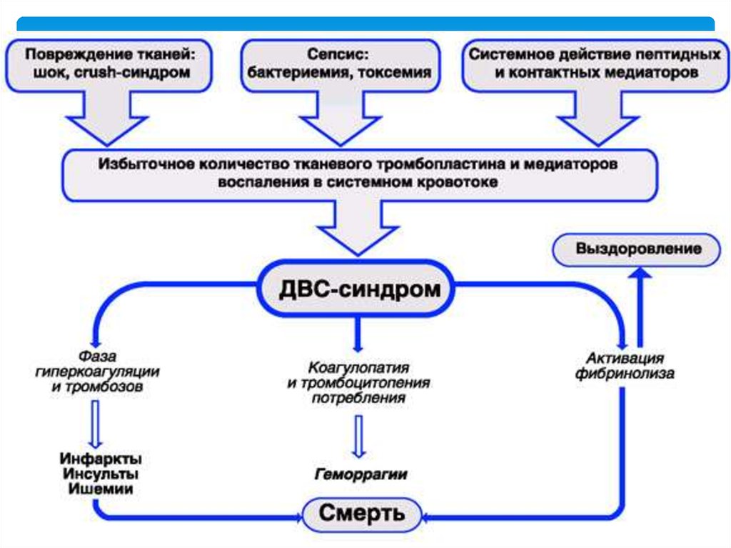 Тшқұ синдромы презентация