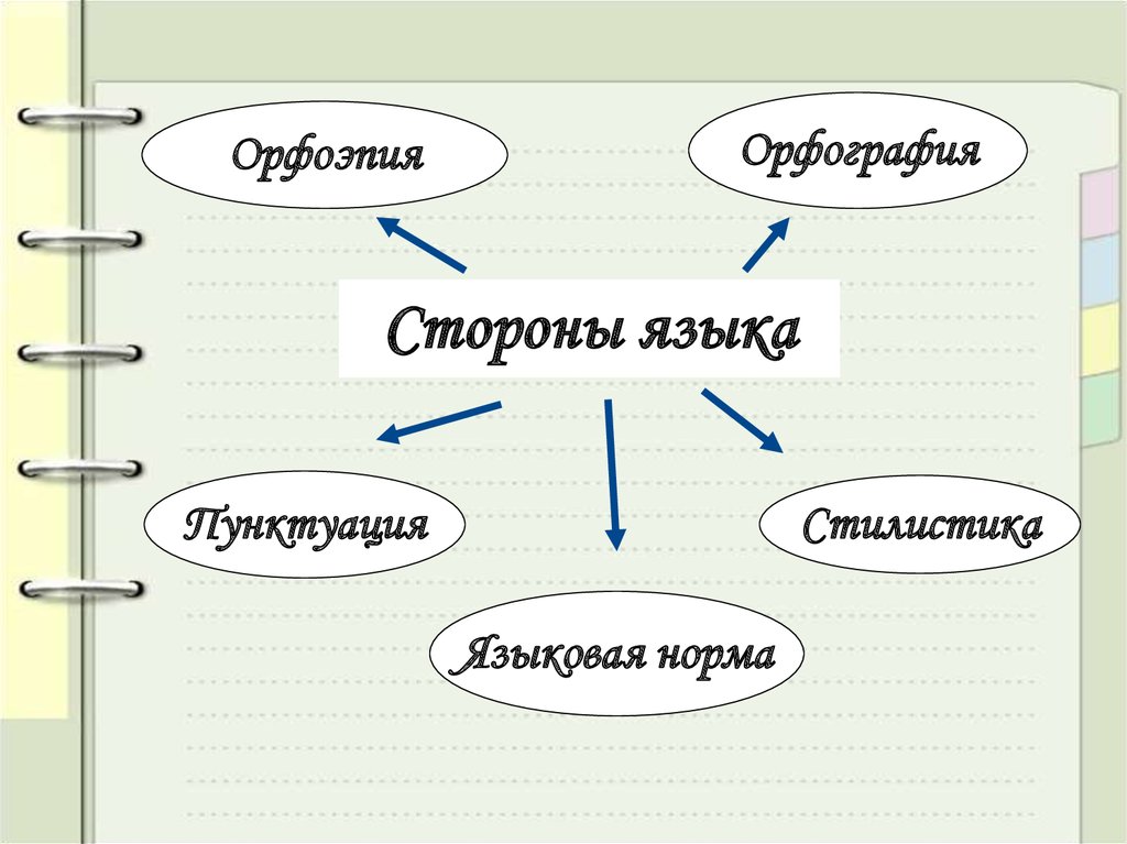 Стороны языка. Орфография стилистика. Взаимосвязь всех сторон языка схема. Назовите все стороны языка русский.