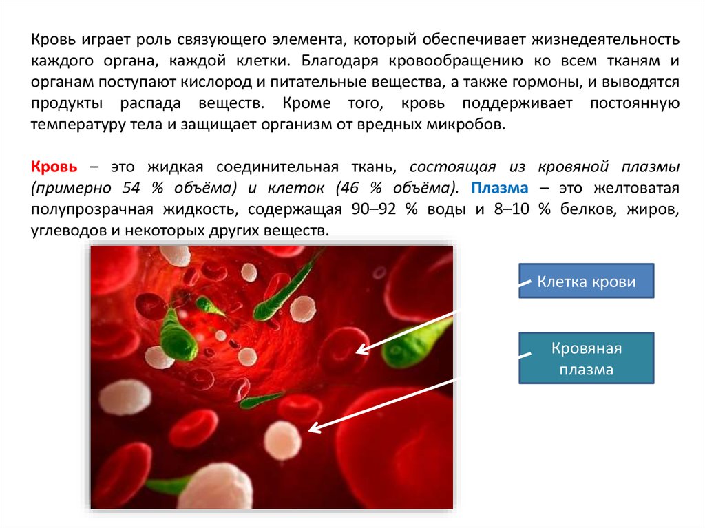Кровь на б клетки. Клетки крови. Плазма клетки в крови. Кровь: плазма и клетки крови,. Из крови питательные вещества и кислород поступают в.