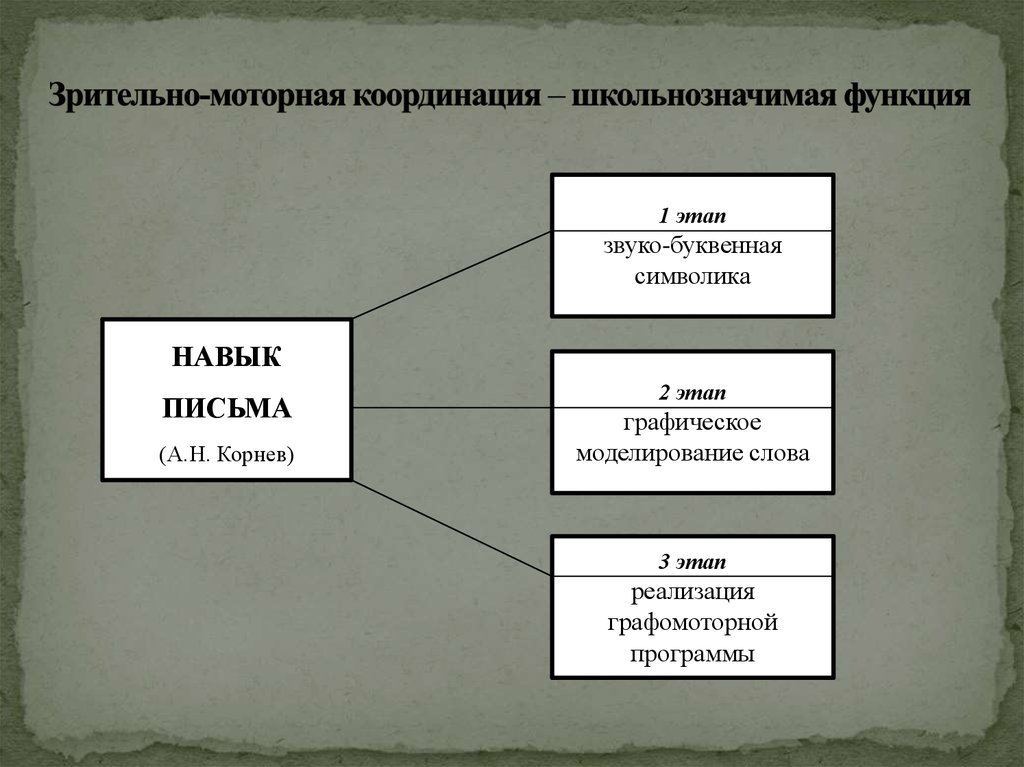 Моторные зрительные функции. Формирование зрительно-моторной координации. Этапы развития зрительно-моторных координаций. Зрительно-моторная координация задания.