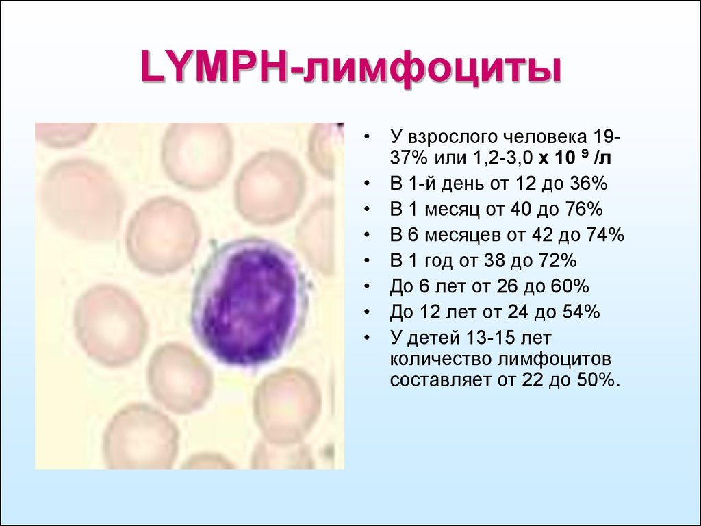 Кровь лимфоциты 45