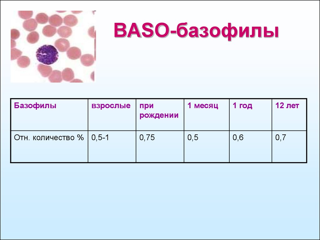 Анализ крови 1 месяц. Базофилы 1.4. Базофилы норма. Базофилы (Baso). Норма базофилов в крови у мужчин.
