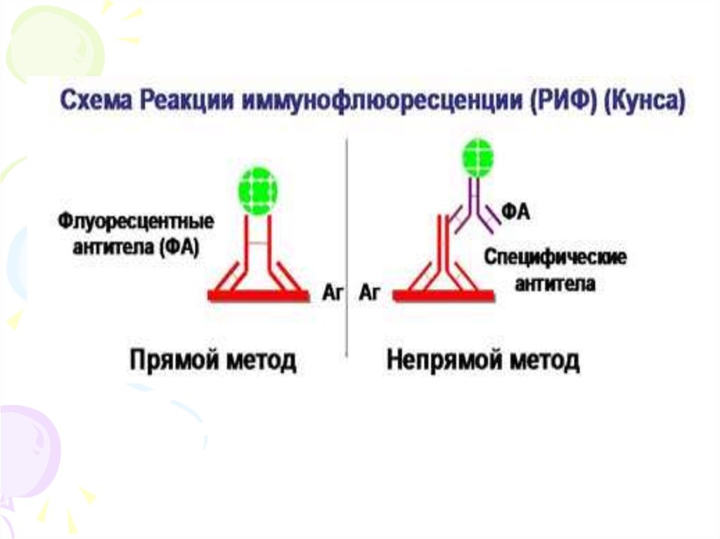 Схема риф микробиология