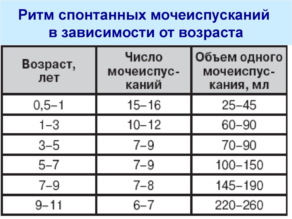 Сколько должен писать. Ритм спонтанных мочеиспусканий у ребенка. Частота мочеиспускания в норме у детей. Количество мочеиспусканий у детей. Количество мочеиспусканий в сутки.