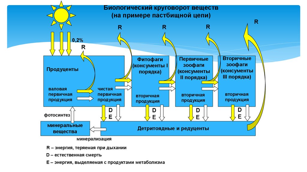 Валовая энергия. Схема биологического круговорота веществ. Биологисеский круговорот ве. Схема биологического круговорота в природе. Составление схемы биологического круговорота в природе.