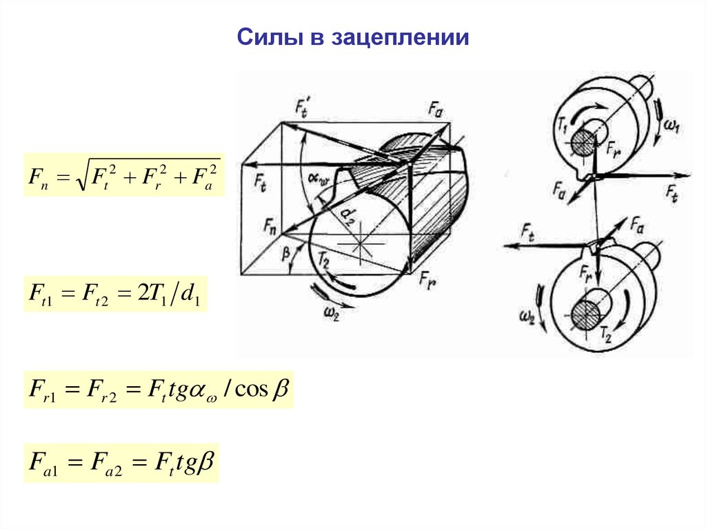 Схема сил в зацеплении косозубой цилиндрической передачи