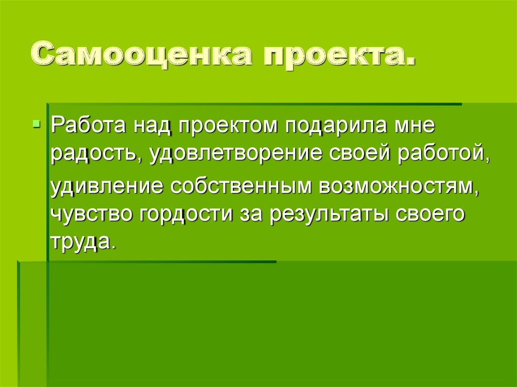 Самооценка в проекте по технологии 8 класс